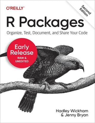 Hadley Wickham And Jenny Bryan R Packages 2e Organize