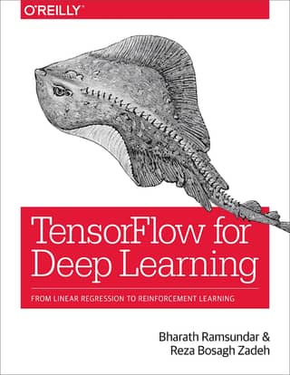 Bosagh Zadeh Reza Tensorflow For Deep Learning From 2018