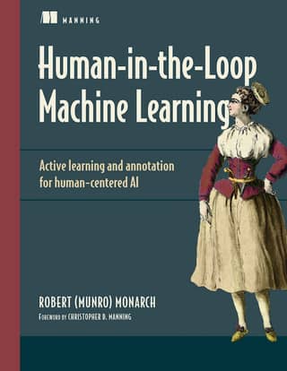 Human-in-the-Loop Machine Learning