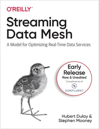 Streaming 20Data 20Mesh 20 282023 29
