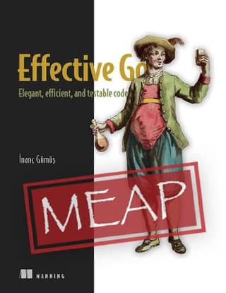 Effective Go Elegant, Efficient, and Testable Code