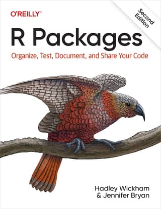 R Packages 40 2023 41
